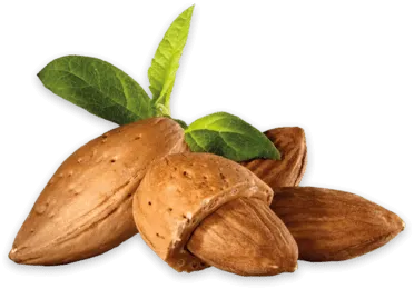 Almond Oil