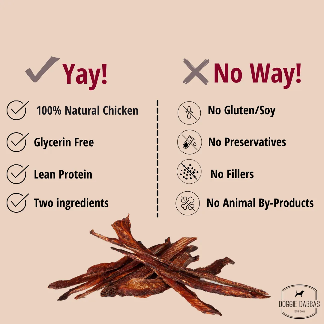 Cranberry Chicken Jerky Pack of 12