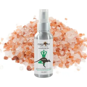 FOCUS - Aromatherapy Mist CocoRoo