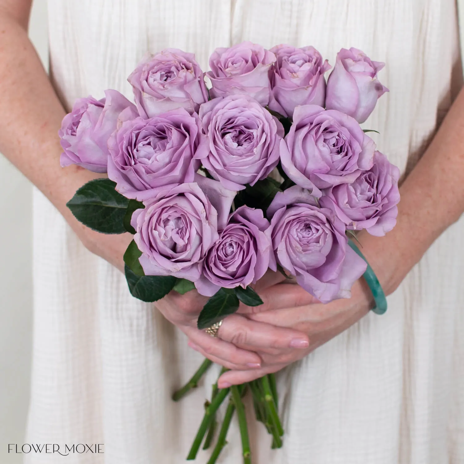 Lavender Garden Rose