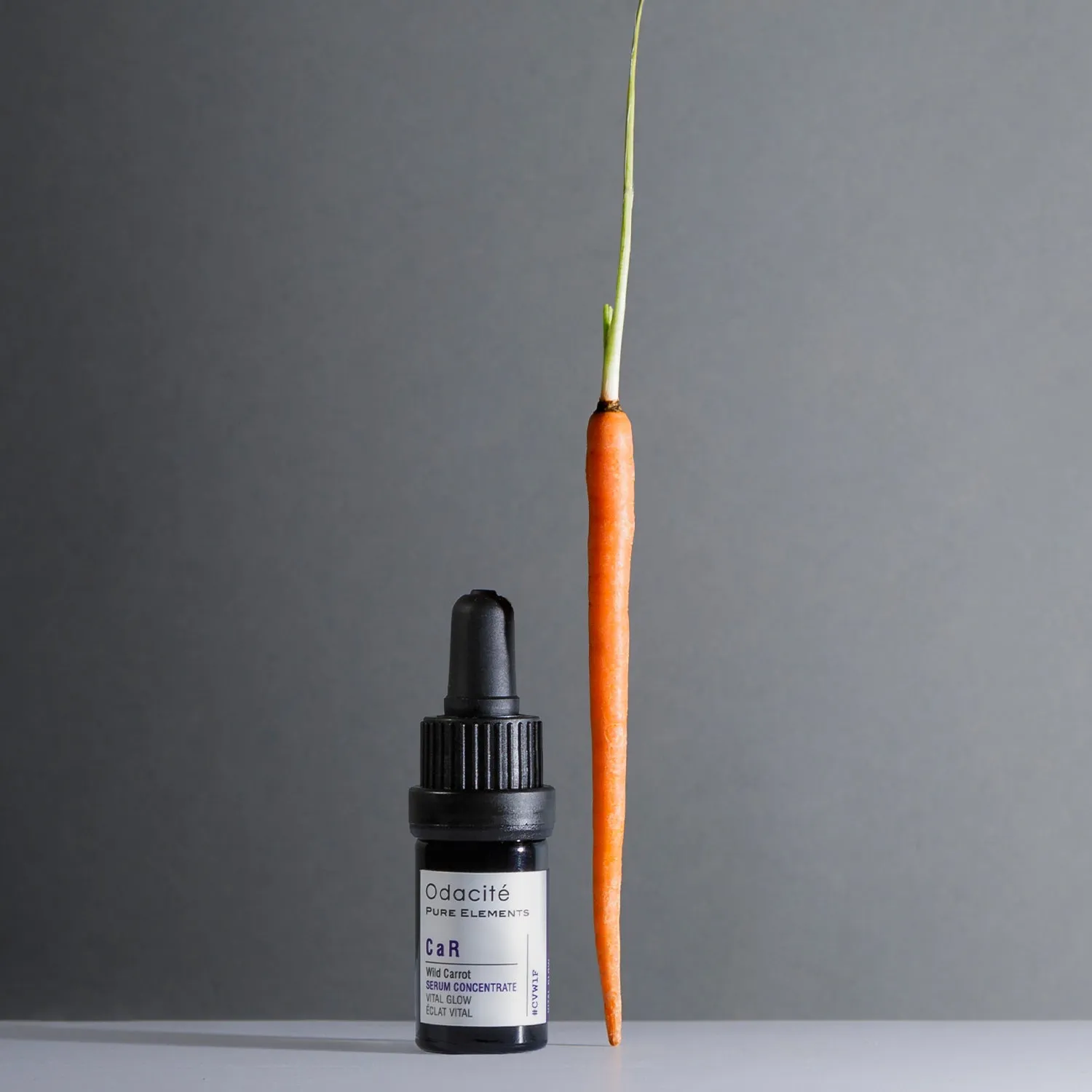 Vitality • Wild Carrot • CaR Serum Concentrate