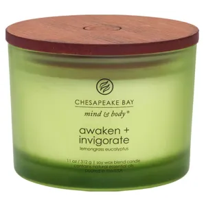 Yankee Candle 3 Wick Awaken & Invigorate Chesapeake Bay Candle